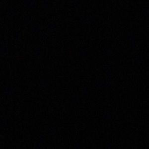 Meet your Posher, Carter